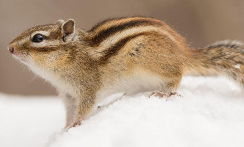 余姚时代光华管理培训网轮播图1