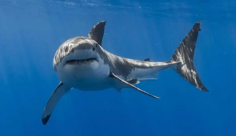 余姚时代光华管理培训网轮播图3